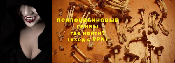 apvp Каменка