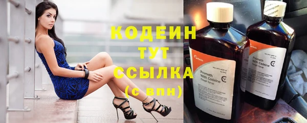 apvp Каменка