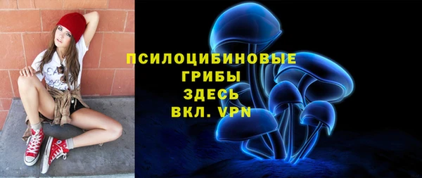 apvp Каменка