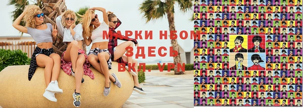 PSILOCYBIN Каменногорск