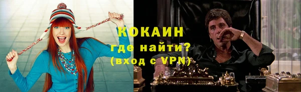 PSILOCYBIN Каменногорск
