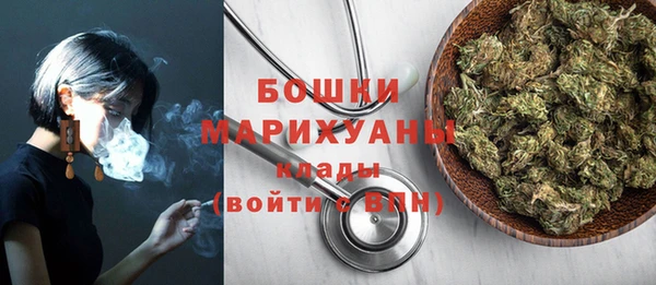 apvp Каменка