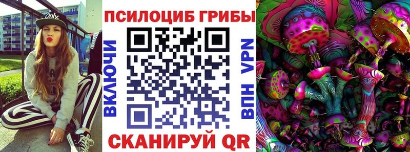 Галлюциногенные грибы Psilocybe  Купить  Колпашево 